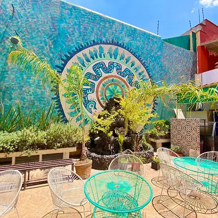 Alto Hostel Mexico City Exterior photo